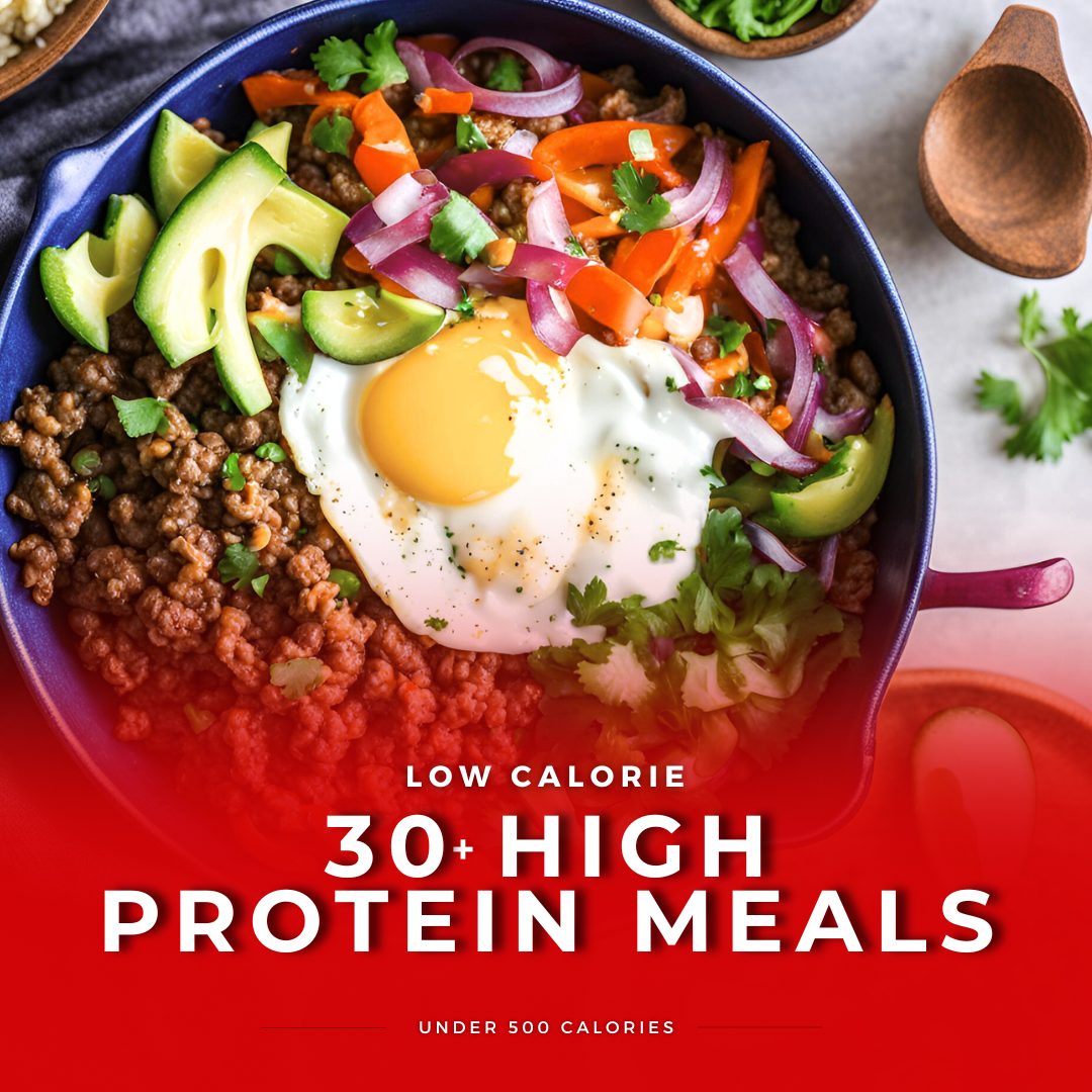 The High Protein Low Cal Meals LSC E-Book - Vol. 1