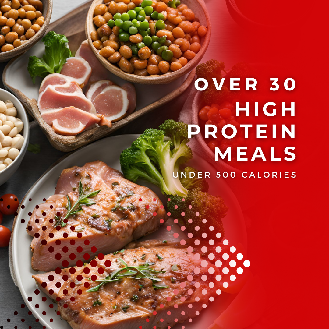 The High Protein Low Cal Meals LSC E-Book - Vol. 1